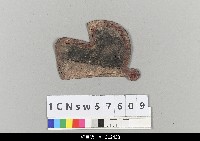 藏品(中國湖北皮影戲盔帽-圓匙)的圖片